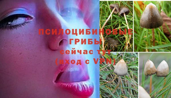 дистиллят марихуана Санкт-Петербург