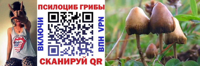 Псилоцибиновые грибы мухоморы  купить  сайты  Махачкала 