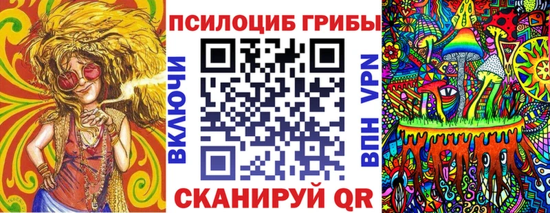 Псилоцибиновые грибы Psilocybine cubensis Махачкала