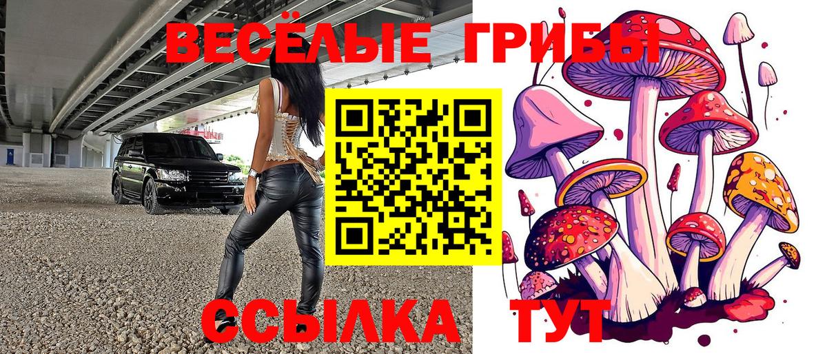 Россия  Псилоцибиновые грибы Magic Shrooms  Вход с VPN 