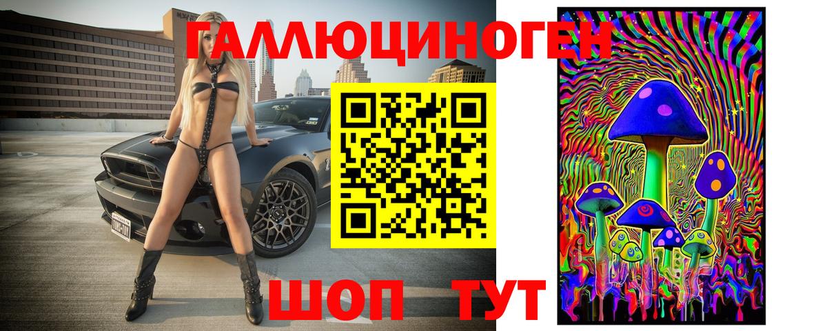 Псилоцибиновые грибы Cubensis Россия