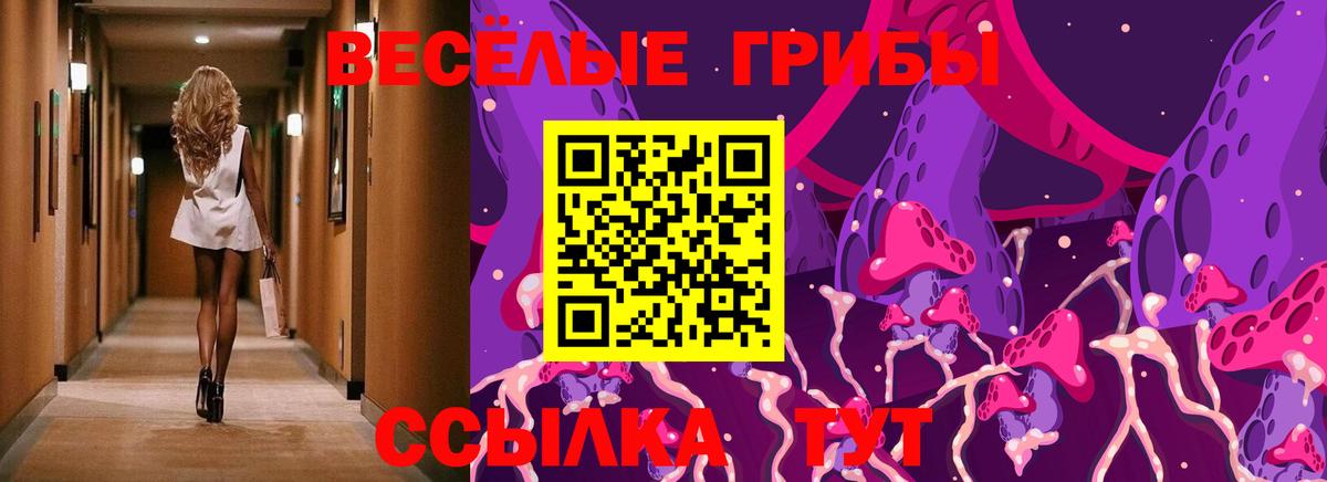 Россия  Галлюциногенные грибы ЛСД  Вход с VPN 