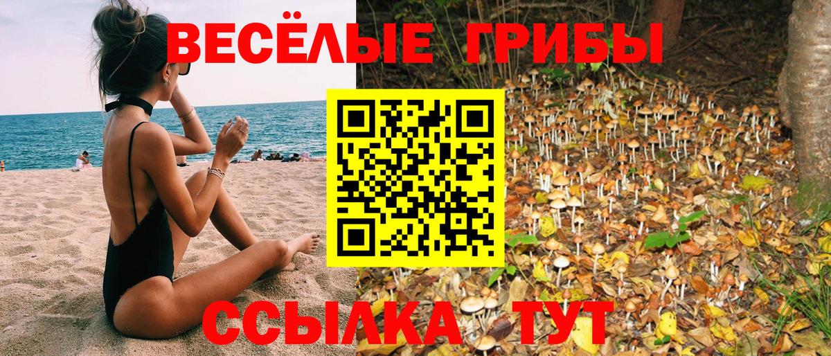 Галлюциногенные грибы мицелий Россия